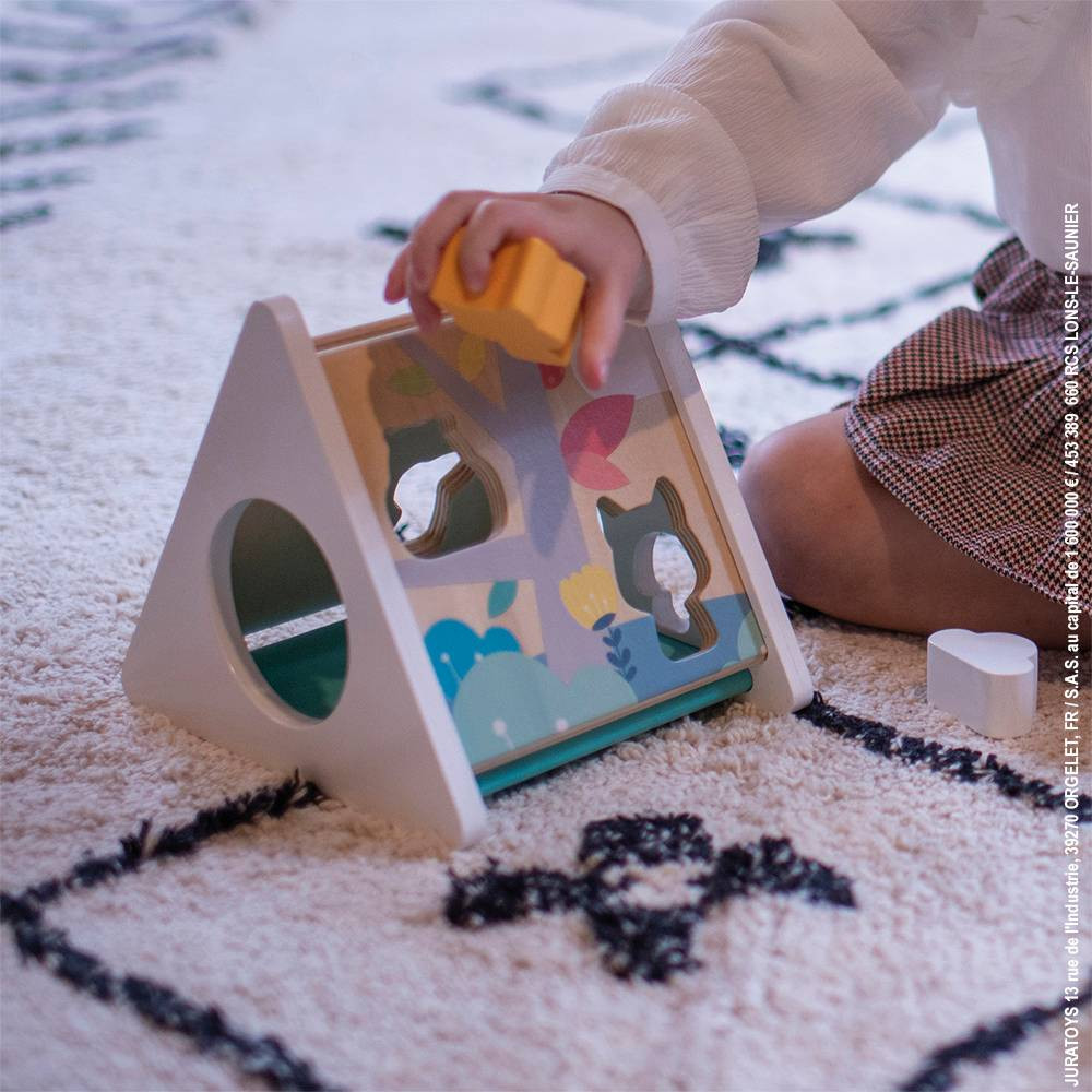 Pure Shape Sorter (wood) Shapes & Colours Janod J05150