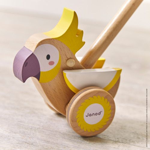 Cacatoès à pousser en bois partenariat WWF, développer la motricité, jeu d'éveil, marche, pour enfant dès 18 mois JANOD
