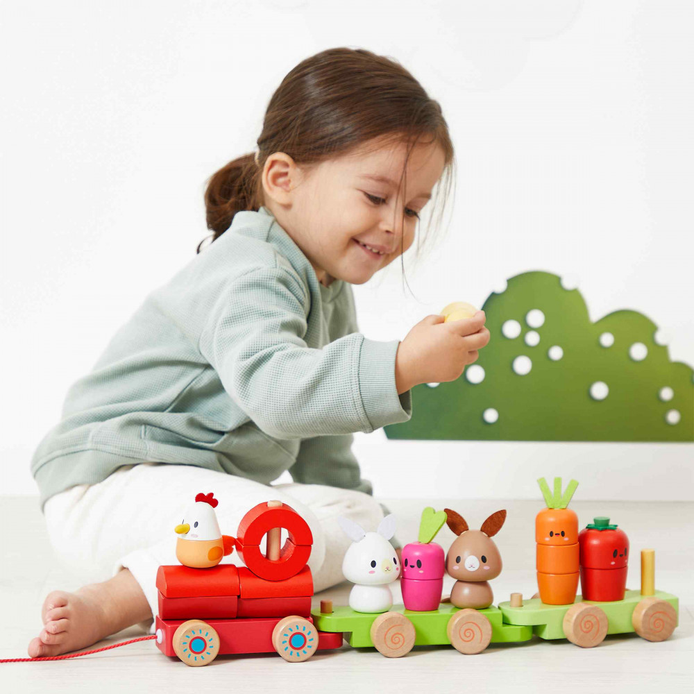 Push Pull Train Set Farm Pull-along Train : Push & Pull toys Janod - J03314