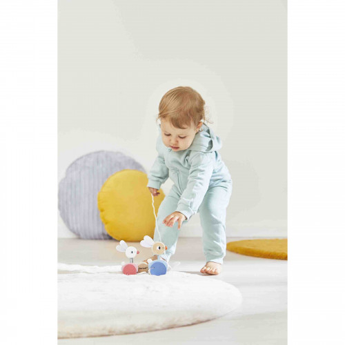 Lapins à promener (bois)