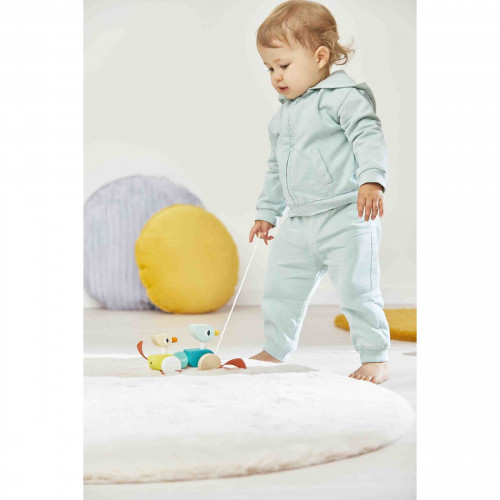 Canard Family à promener (bois)