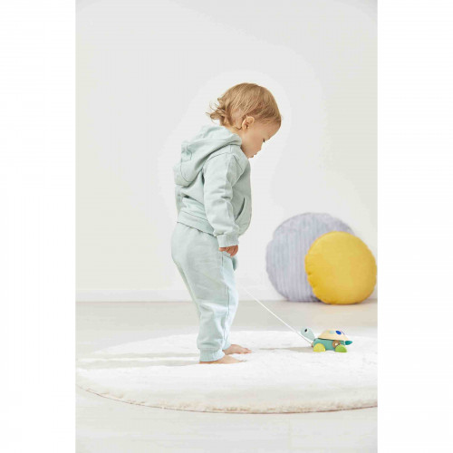 Tortue à Promener Zigolos (bois)