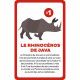 Jeu cherche et trouve Animaux Menacés, jeu de société, observation éducatif, pour enfant à partir de 6 ans JANOD