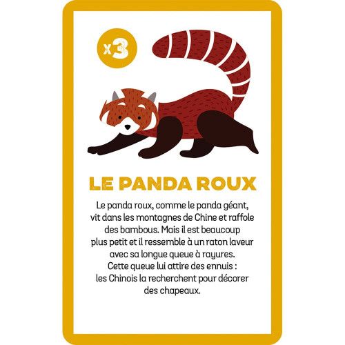 Jeu cherche et trouve Animaux Menacés, jeu de société, observation éducatif, pour enfant à partir de 6 ans JANOD