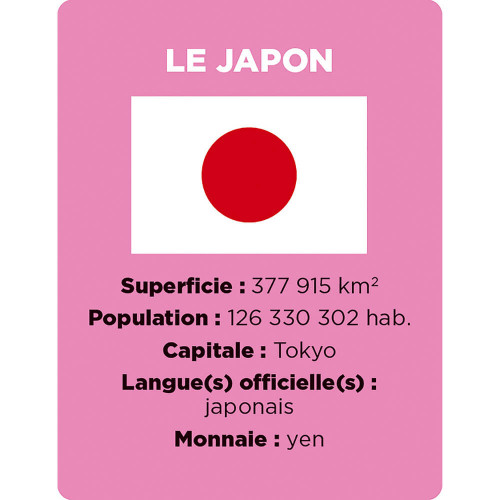 Jeu cherche et trouve les Drapeaux, jeu de société, observation éducatif, géographie, pour enfant à partir de 8 ans JANOD