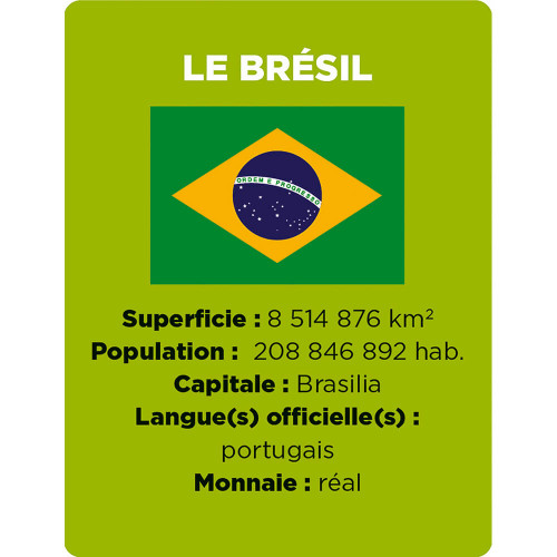 Jeu cherche et trouve les Drapeaux, jeu de société, observation éducatif, géographie, pour enfant à partir de 8 ans JANOD