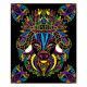 Kit créatif coloriages et feutres fluo animaux, loisir créatif, animaux à colorier, pour enfant dès 7 ans JANOD