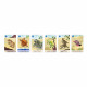 Jeu de 7 familles le règne animal partenariat WWF, certifié FSC, made in France, jeu de cartes, pour enfant dès 4 ans JANOD