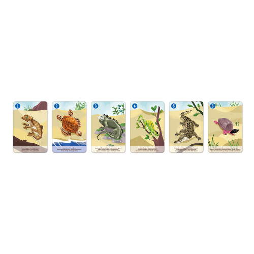 Jeu de 7 familles le règne animal partenariat WWF, certifié FSC, made in France, jeu de cartes, pour enfant dès 4 ans JANOD