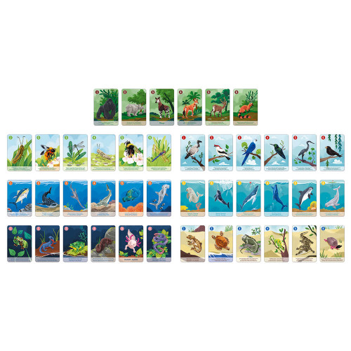 Jeu de 7 familles le règne animal partenariat WWF, certifié FSC, made in France, jeu de cartes, pour enfant dès 4 ans JANOD