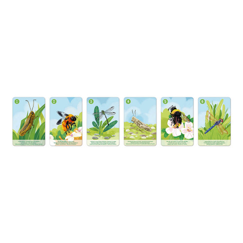 Jeu de 7 familles le règne animal partenariat WWF, certifié FSC, made in France, jeu de cartes, pour enfant dès 4 ans JANOD
