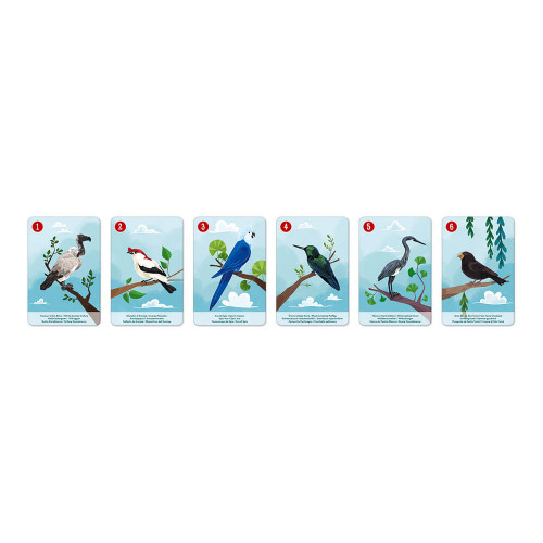 Jeu de 7 familles le règne animal partenariat WWF, certifié FSC, made in France, jeu de cartes, pour enfant dès 4 ans JANOD