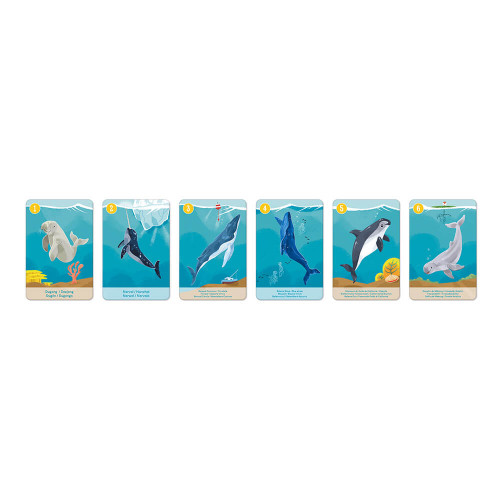 Jeu de 7 familles le règne animal partenariat WWF, certifié FSC, made in France, jeu de cartes, pour enfant dès 4 ans JANOD