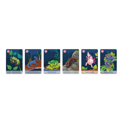 Jeu de 7 familles le règne animal partenariat WWF, certifié FSC, made in France, jeu de cartes, pour enfant dès 4 ans JANOD