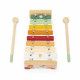 Set De Instrumentos Musicales Sunshine