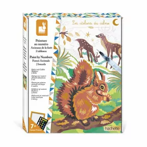 1 gomme et crayon fantaisie Friends Woodland pour enfants : :  Maison