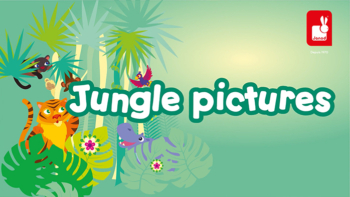 Jeu Jungle Pictures